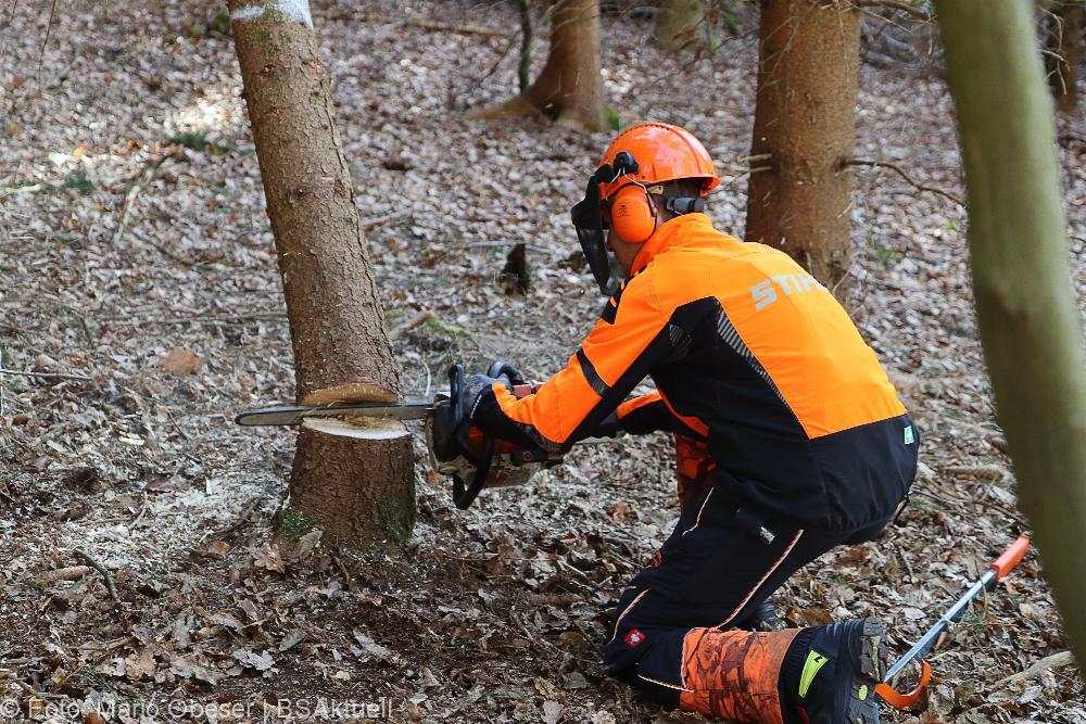 Kettensägen-Lehrgang Feuerwehr Günzburg am 19.02.2022