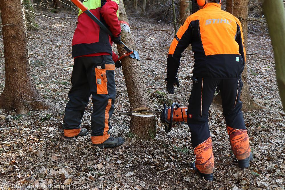 Kettensägen-Lehrgang Feuerwehr Günzburg am 19.02.2022