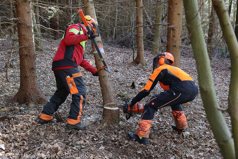 Kettensägen-Lehrgang Feuerwehr Günzburg am 19.02.2022
