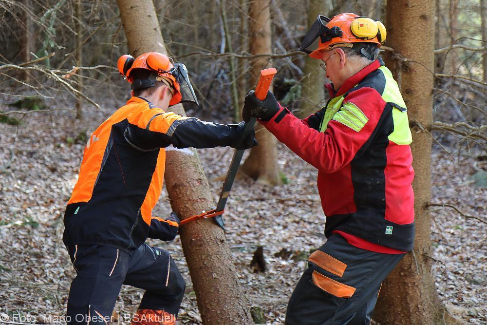 Kettensägen-Lehrgang Feuerwehr Günzburg am 19.02.2022