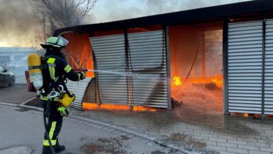 Brand Mülltonnenunterstand