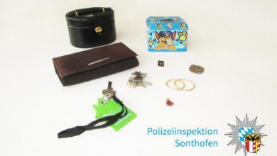 Diebesgut Bolsterlang