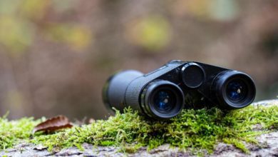 Fernglas