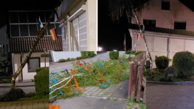 Maibaum umgesägt Schnuttenbach