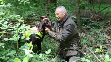 ASP-Hunde Prüfung Ichenhausen 052022