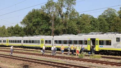 Fahrzeugführer helfen beim Einsteigen in den Regionalzug vor einem Waldgebiet, Bild zeigt Bahnpersonal und Fahrgäste bei sportlichem Einsatz, Eisenbahn und Nahverkehr in Deutschland.