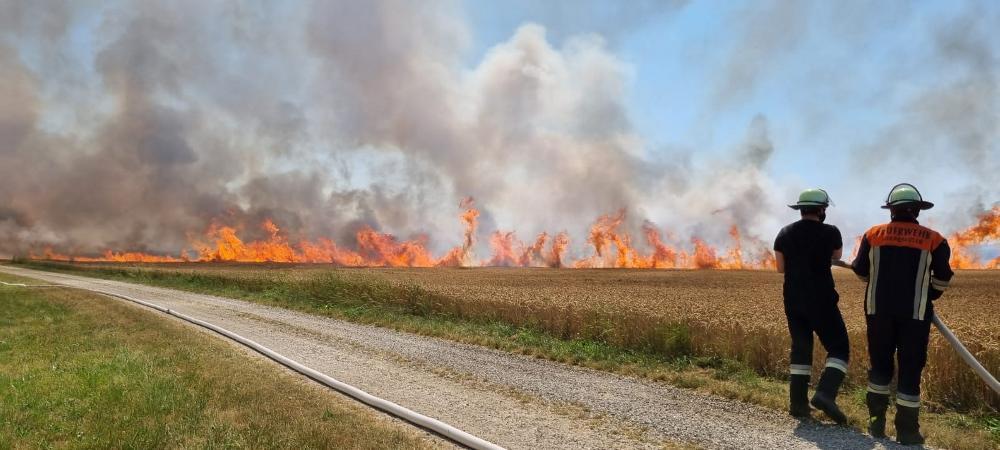 Münsterhausen Brand Feld 25072022