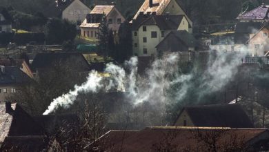 Kamin Rauch Holzheizung