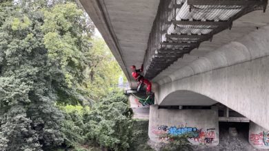 BF Augsburg Schwalben gerettet