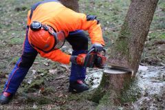 Kettensägen-Lehrgang Feuerwehr Günzburg am 19.02.2022 30