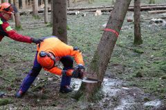 Kettensägen-Lehrgang Feuerwehr Günzburg am 19.02.2022 31