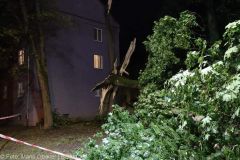 Neu-Ulm Baum Blitzschlag gegen Gebaaude 21072022 8