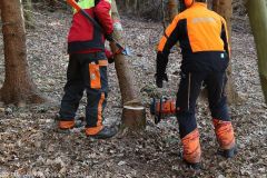 Kettensägen-Lehrgang Feuerwehr Günzburg am 19.02.2022 6