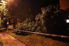 Neu-Ulm Baum Blitzschlag gegen Gebaaude 21072022 5