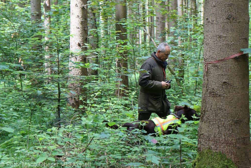 ASP-Hunde Prüfung Ichenhausen 052022