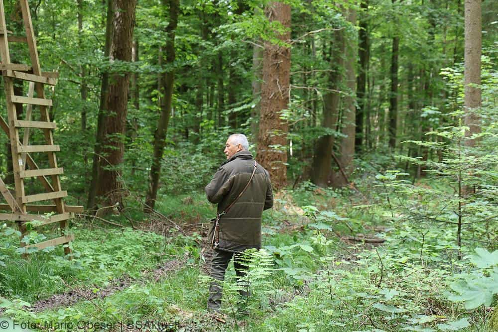 ASP-Hunde Prüfung Ichenhausen 052022