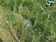 Unfall Flugplatz Günzburg 30082022 8