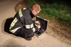 Strahlung Gestein Karton Ichenhausen 27042022 29