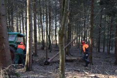 Kettensägen-Lehrgang Feuerwehr Günzburg am 19.02.2022 15