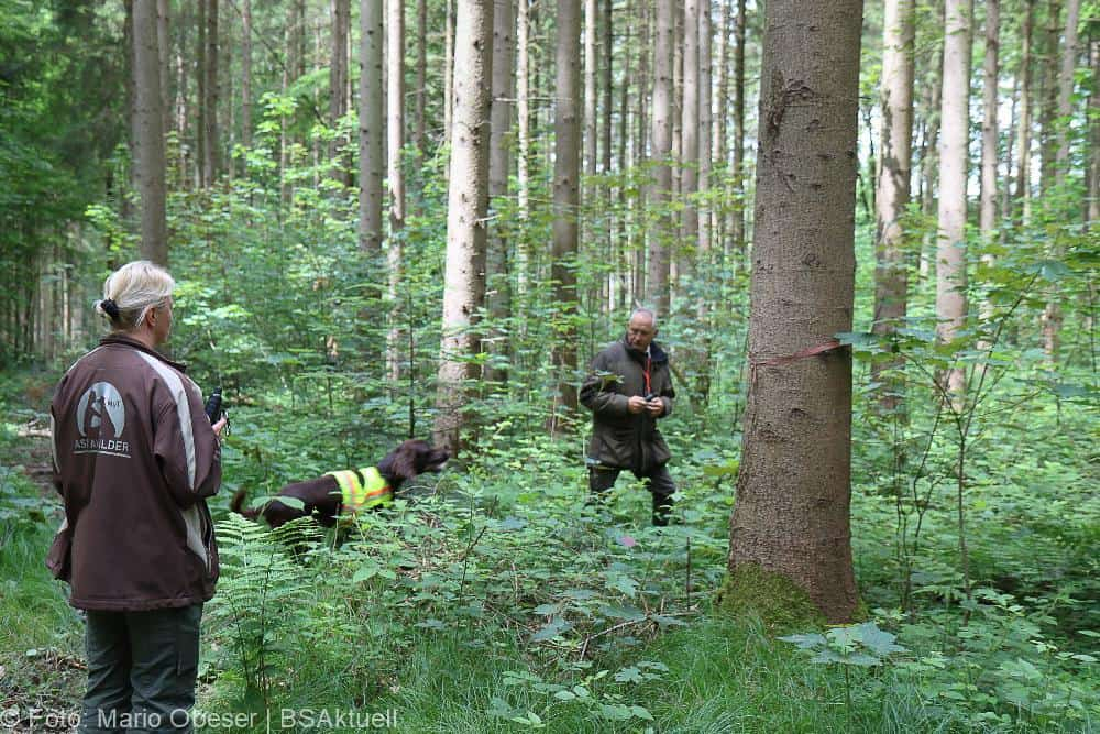 ASP-Hunde Prüfung Ichenhausen 052022