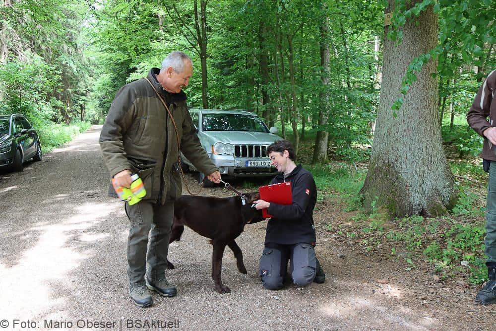 ASP-Hunde Prüfung Ichenhausen 052022