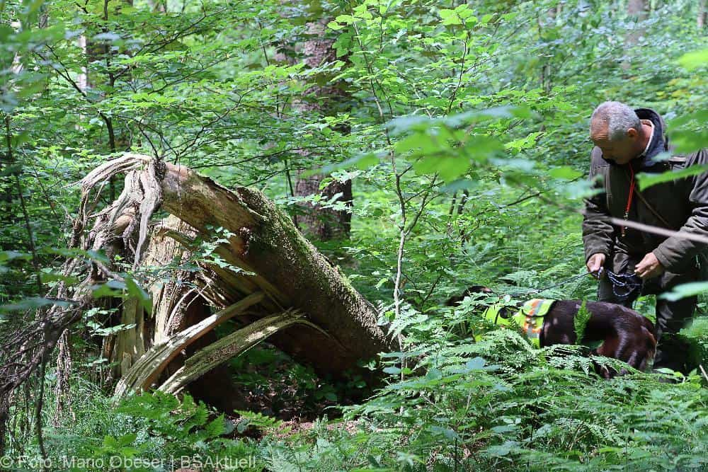 ASP-Hunde Prüfung Ichenhausen 052022