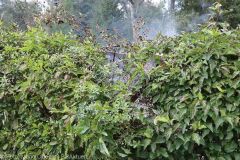 Brand Gartenhuette Guenzburg 22082022 19