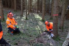 Kettensägen-Lehrgang Feuerwehr Günzburg am 19.02.2022 20
