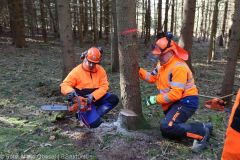 Kettensägen-Lehrgang Feuerwehr Günzburg am 19.02.2022 17