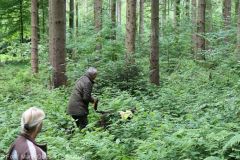 ASP-Hunde Pruefung Ichenhausen 052022 17