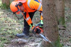 Kettensägen-Lehrgang Feuerwehr Günzburg am 19.02.2022 26