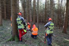 Kettensägen-Lehrgang Feuerwehr Günzburg am 19.02.2022 16