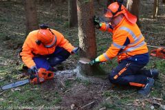Kettensägen-Lehrgang Feuerwehr Günzburg am 19.02.2022 18