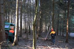 Kettensägen-Lehrgang Feuerwehr Günzburg am 19.02.2022 14