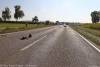Unfall Wohnmobil Pkws Hittistetten 09102021 24