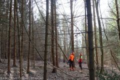Kettensägen-Lehrgang Feuerwehr Günzburg am 19.02.2022 4