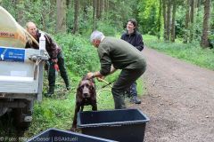 ASP-Hunde Pruefung Ichenhausen 052022 30