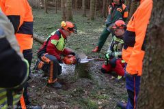 Kettensägen-Lehrgang Feuerwehr Günzburg am 19.02.2022 33