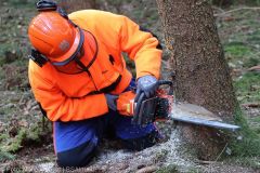 Kettensägen-Lehrgang Feuerwehr Günzburg am 19.02.2022 19
