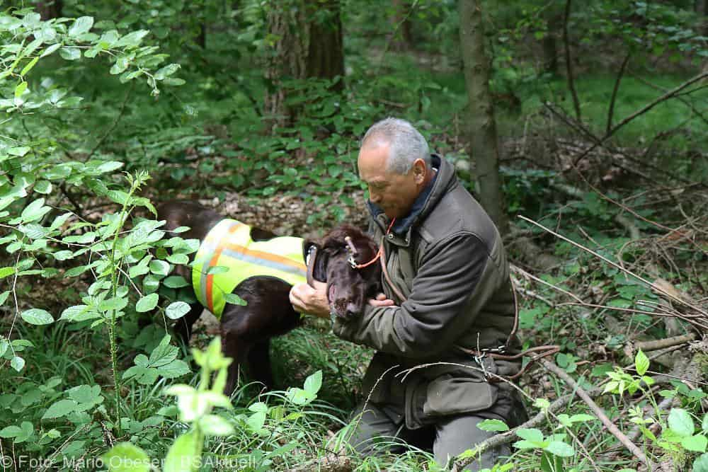 ASP-Hunde Prüfung Ichenhausen 052022