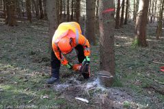 Kettensägen-Lehrgang Feuerwehr Günzburg am 19.02.2022 28