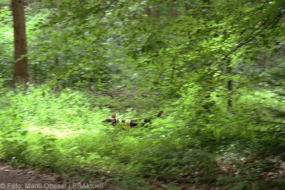 ASP-Hunde Prüfung Ichenhausen 052022
