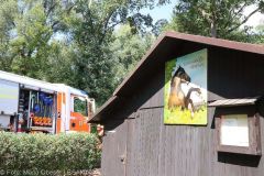 Brand Gartenhuette Guenzburg 22082022 15