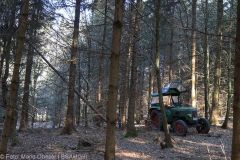 Kettensägen-Lehrgang Feuerwehr Günzburg am 19.02.2022 11