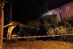 Neu-Ulm Baum Blitzschlag gegen Gebaaude 21072022 3