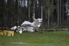 Absturz Flugzeug Wald 27092021 5