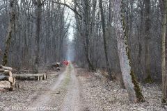 Suche nach vermisster Schuelerin Dillingen 18032022 31