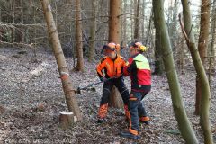 Kettensaegen-Lehrgang FF Guenzburg 19022022 9