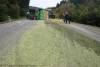 Unfall Autenried-Biberberg - Traktor-Anhaenger Mais umgekippt 08102021 1