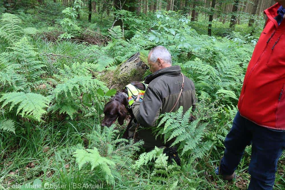 ASP-Hunde Prüfung Ichenhausen 052022